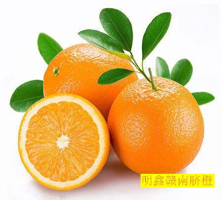 赣南脐橙网图片