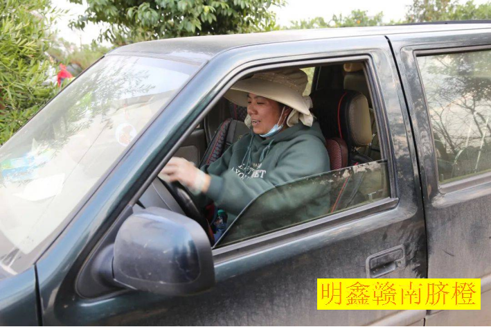 赣南脐橙网图片1