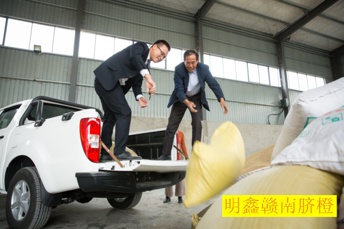 赣南脐橙网图片3