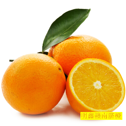 赣南脐橙网图片2