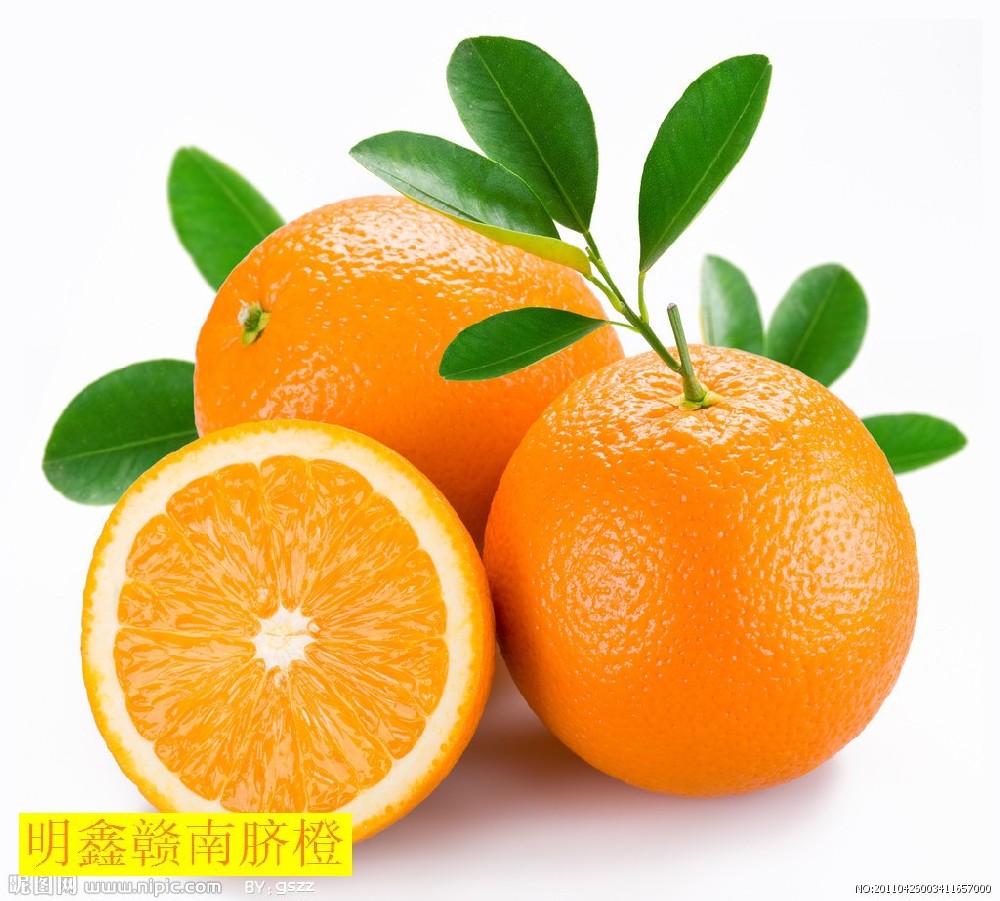 赣南脐橙的社会责任与公益行动:让产业发展惠及更多人群